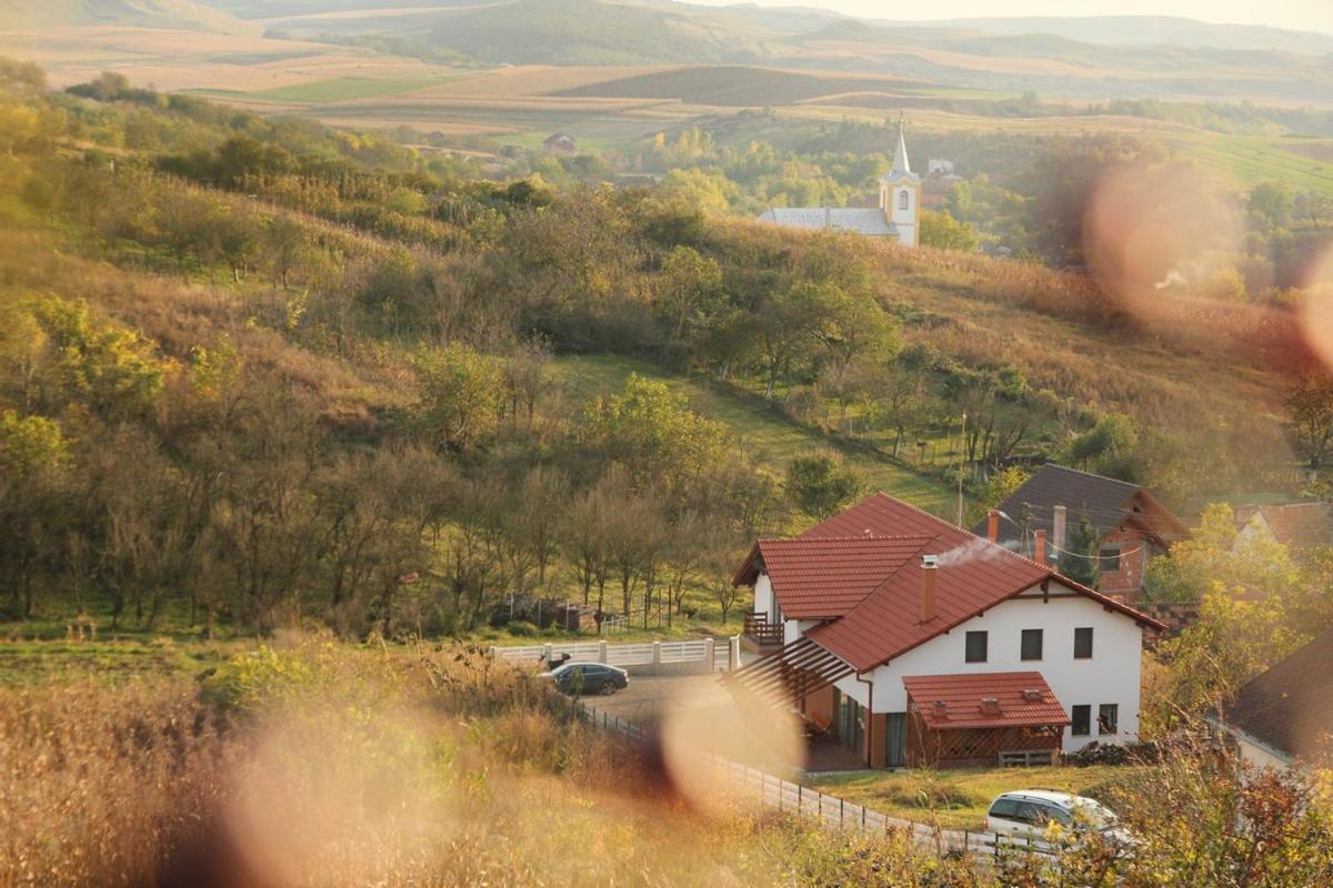 Pensiunea Casa Din VII Seusa Exteriör bild