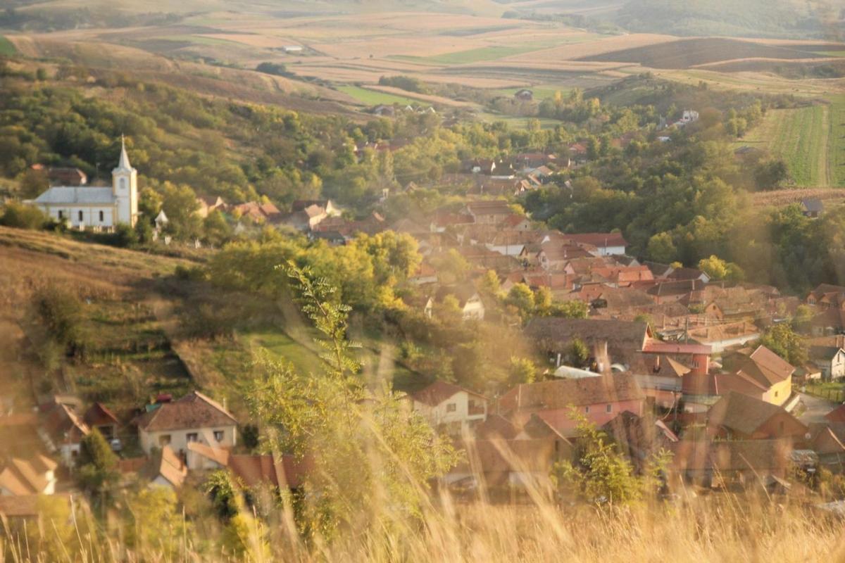Pensiunea Casa Din VII Seusa Exteriör bild