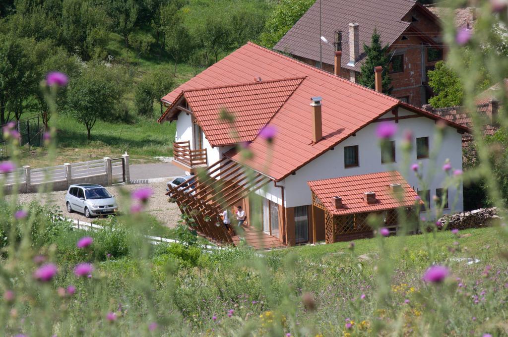 Pensiunea Casa Din VII Seusa Exteriör bild