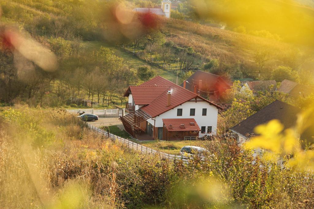 Pensiunea Casa Din VII Seusa Exteriör bild